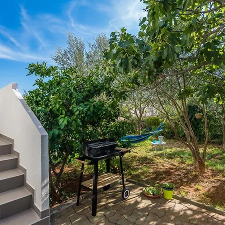 Marko Dominik זאדאר